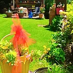 Bed & Breakfast Va...lentina Piavata