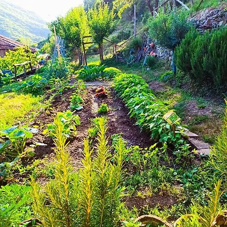 ベッド・アンド・ブレックファスト Va...lentina