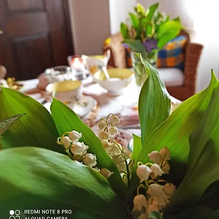 Va...lentina Piavata