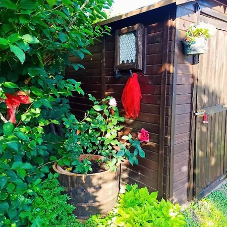 Va...lentina Piavata