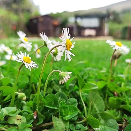 ベッド・アンド・ブレックファスト Va...lentina 4*