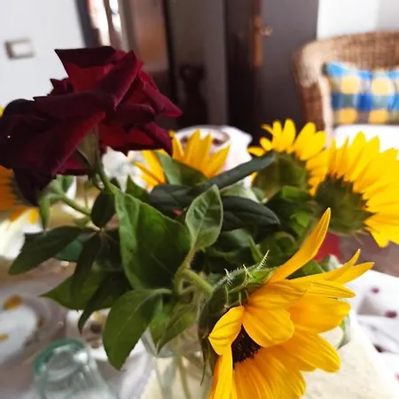 Va...lentina Bed & Breakfast