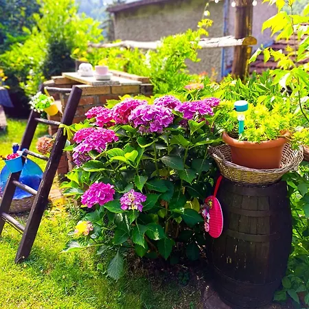 Va...lentina Piavata